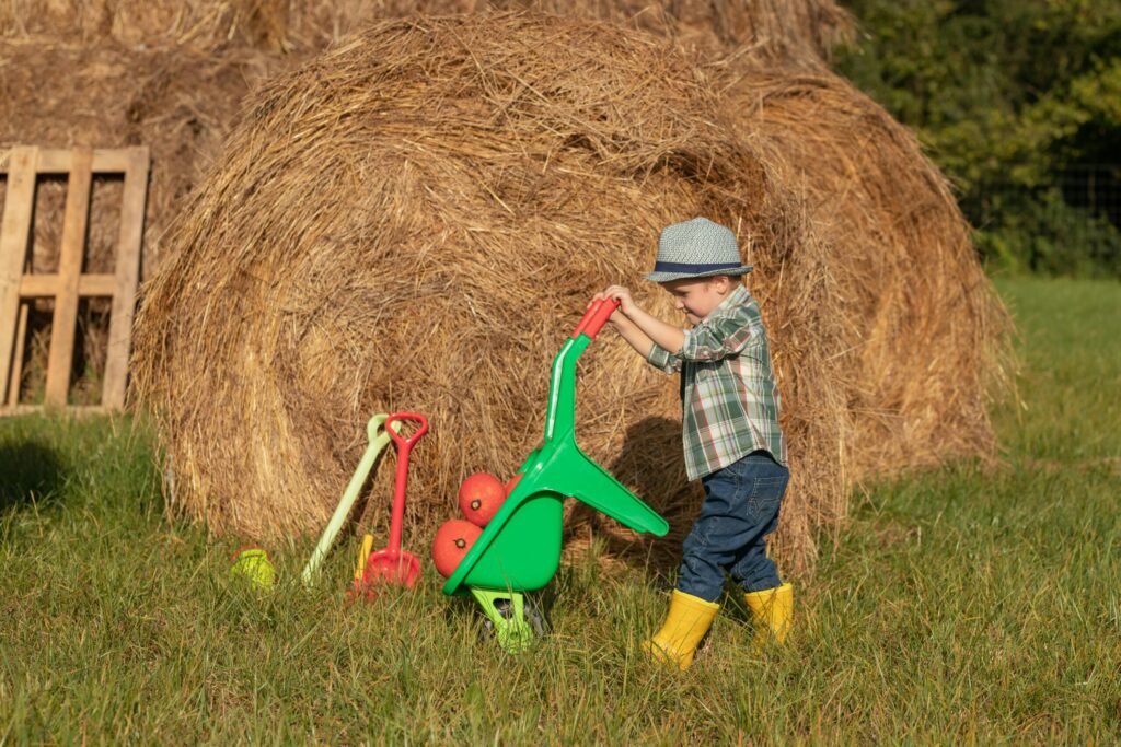 pexels polesietoys 18991705